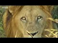 Ultimate Killers: Man-Eating Lions