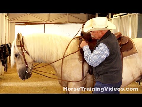 how to fit draw reins