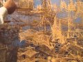Rolling through the Bay -100000 toothpicks sculpture
