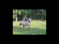 Click here to watch this video D-ponnyn Kanasta Bilder