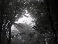 Winterpest -Endlos Schlacht