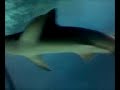 Video from My Phone (0809071218.3g2)