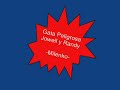 Gata Peligrosa - Jowell y Randy