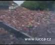 Lucca at Loveparade