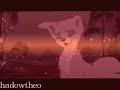 Gin, Angel, Nala & Balto - Honesty