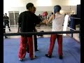 savate boxe française