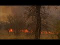 Braving bush fires