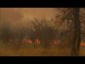 videos de Braving bush fires