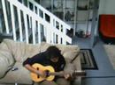 jered jammy jam jered jammy jam