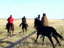 Stronghold horse races 1 (Pine Ridge Reservation)