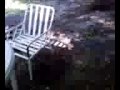 videos de Waterhose Massacre! Real kid drowns on camera! Must see!