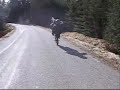 Yamaha DT50 wheelie and Stoppie