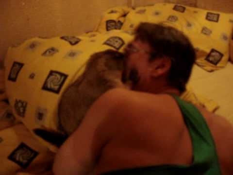 Байбак Фира