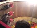 Wall of Death at the NEC 2008