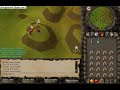 Pking Dm