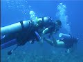 Hedonism diving:  Reefs, wrecks and people