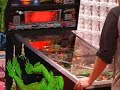 PAPA 8 World Pinball Tournament Part 3
