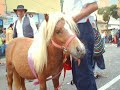 ROMERÍA DE SAN BENITO 2007 ROMERÍA DE SAN BENITO 2007