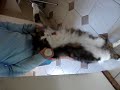hercules stretching