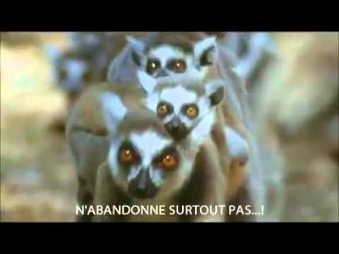 Image de prévisualisation YouTube