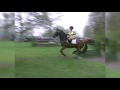 pippa funnell biography pippa funnell biography