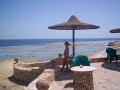 Egitto-Carnelia 2008