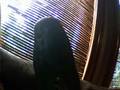 videos de In mamorial of Jasper The Amazing Cucumber