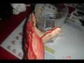 videos de halloween al big bang