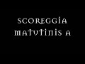 Tipi di scoregge