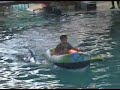 Dolphin-Show-Part-V
