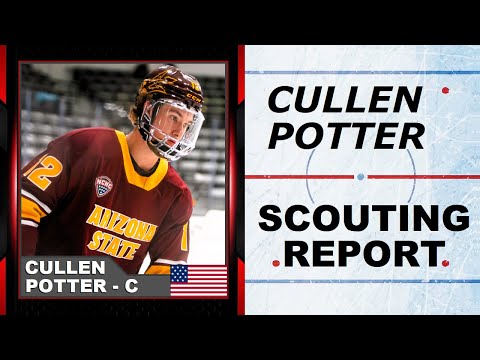 CULLEN POTTER HIGHLIGHTS - 2025 NHL Draft