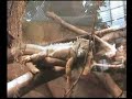 Serre Amazonienne à Montpellier