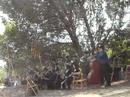 10 anys de somnis 10 anys de somnis