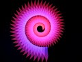 radiolaria-log spiral