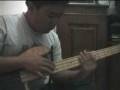 videos de woodpecker - fajar adi nugroho -