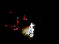Rodrigo y Gabriela - Live Paris Rodrigo y Gabriela - Live Paris