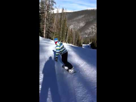 how to transplant trees in winter