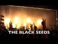 The Black Seeds and Tahuna Breaks