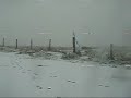 parawaiting- Dungiven