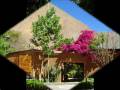 IV REGION: VALLE DEL ELQUI, LA SERENA, COQUIMBO