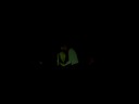 Jenny Lewis - 09-23-2008 - Fayetteville, AR Jenny Lewis - 09-23-2008 - Fayetteville, AR