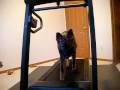 videos de Ares workout