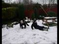 videos de Snowy Day 2