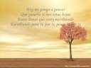 En silencio