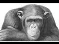 Wildlife Art by David Dancey-Wood