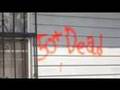 videos de Amazing Animal Rescue Project - The Katrina Promise