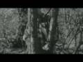 Animal Mechanique (Original version)