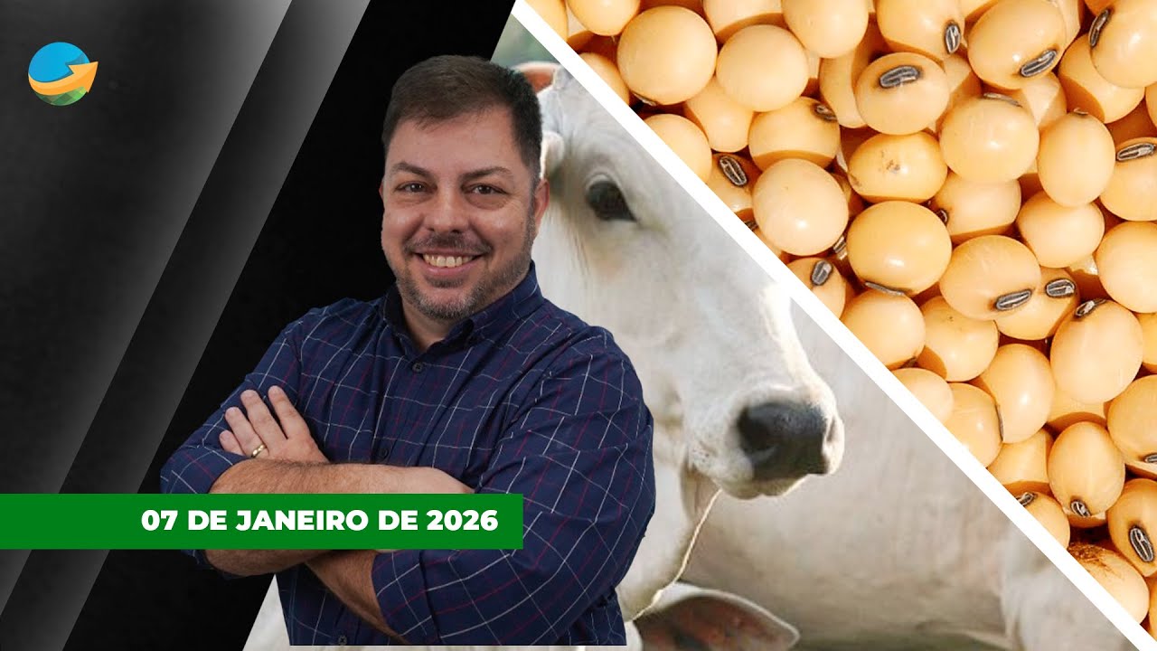 Soja sobe em Chicago com apoio do farelo em dia de recuperação dos grãos. Arroba do boi também...