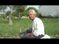 il y a encore beaucoup de chevaux en roumanie... il faut vite profiter d'une ambiance qui va vite disparaitre...