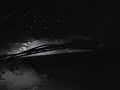 Close encounter with an unidentified roaring object (URO)